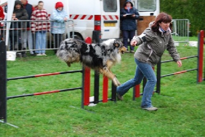 des Yeux de Crystal - Brevets d'agility