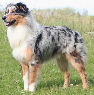 Blizzard in dakota des Yeux de Crystal