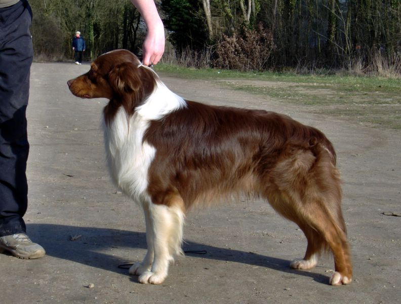 Cochise rainbow warrior des Yeux de Crystal